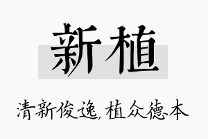 新植名字的寓意及含义