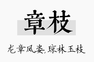 章枝名字的寓意及含义