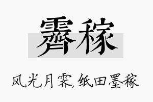 霁稼名字的寓意及含义