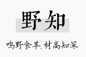 野知名字的寓意及含义