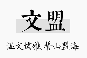 文盟名字的寓意及含义