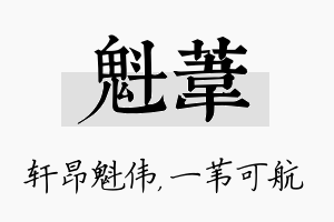 魁苇名字的寓意及含义