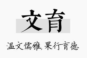 文育名字的寓意及含义