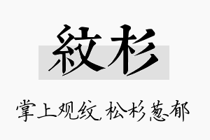 纹杉名字的寓意及含义