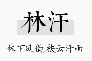 林汗名字的寓意及含义