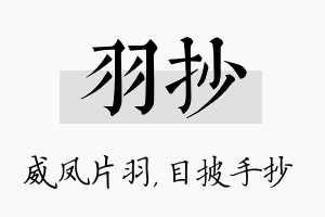 羽抄名字的寓意及含义