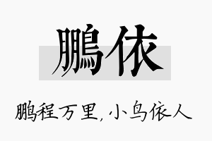 鹏依名字的寓意及含义