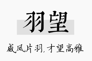 羽望名字的寓意及含义