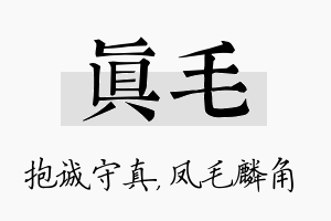 真毛名字的寓意及含义