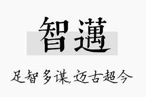 智迈名字的寓意及含义