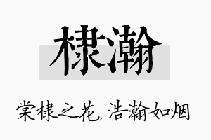 棣瀚名字的寓意及含义