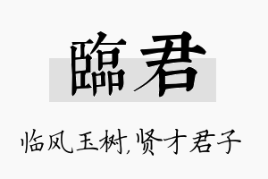 临君名字的寓意及含义