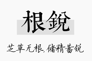 根锐名字的寓意及含义