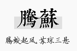 腾苏名字的寓意及含义