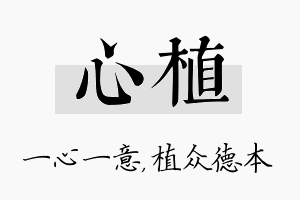 心植名字的寓意及含义