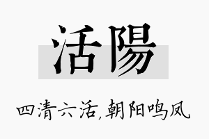 活阳名字的寓意及含义