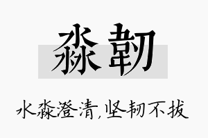 淼韧名字的寓意及含义