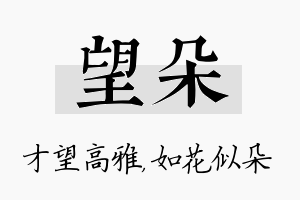 望朵名字的寓意及含义