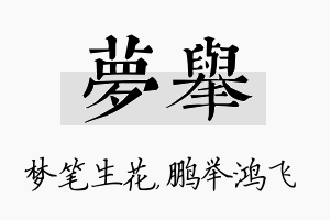 梦举名字的寓意及含义