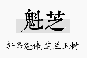 魁芝名字的寓意及含义