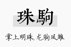 珠驹名字的寓意及含义