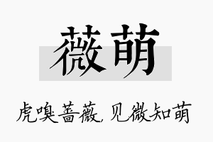 薇萌名字的寓意及含义