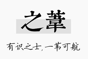 之苇名字的寓意及含义