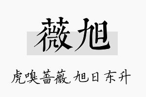 薇旭名字的寓意及含义