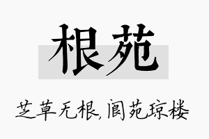 根苑名字的寓意及含义