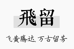 飞留名字的寓意及含义