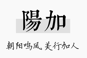 阳加名字的寓意及含义