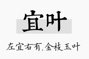 宜叶名字的寓意及含义