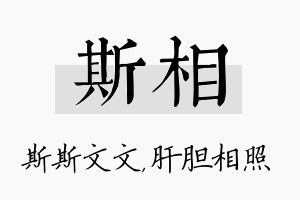 斯相名字的寓意及含义