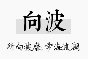 向波名字的寓意及含义