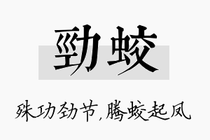 劲蛟名字的寓意及含义