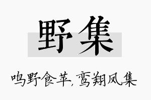 野集名字的寓意及含义