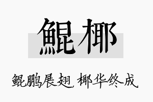 鲲椰名字的寓意及含义