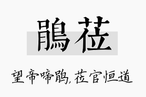 鹃莅名字的寓意及含义