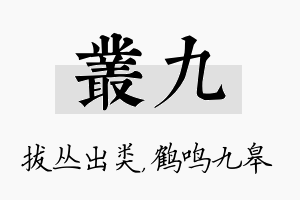 丛九名字的寓意及含义