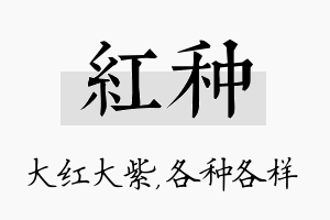 红种名字的寓意及含义