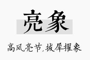 亮象名字的寓意及含义