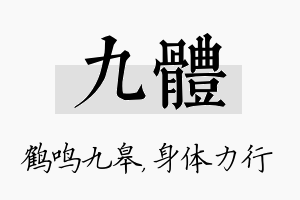 九体名字的寓意及含义