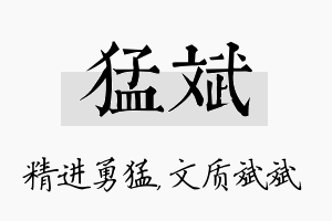 猛斌名字的寓意及含义