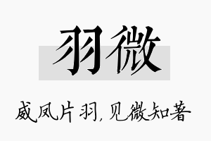 羽微名字的寓意及含义