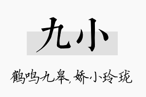 九小名字的寓意及含义