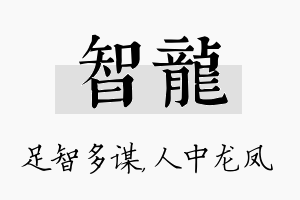 智龙名字的寓意及含义