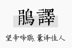 鹃译名字的寓意及含义