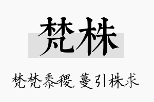 梵株名字的寓意及含义