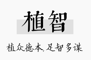 植智名字的寓意及含义