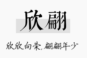 欣翩名字的寓意及含义